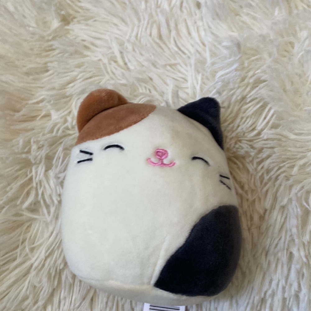 Mini cat squishmallow